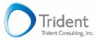www.tridentconsultinginc.com