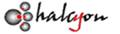 www.halcyonit.com